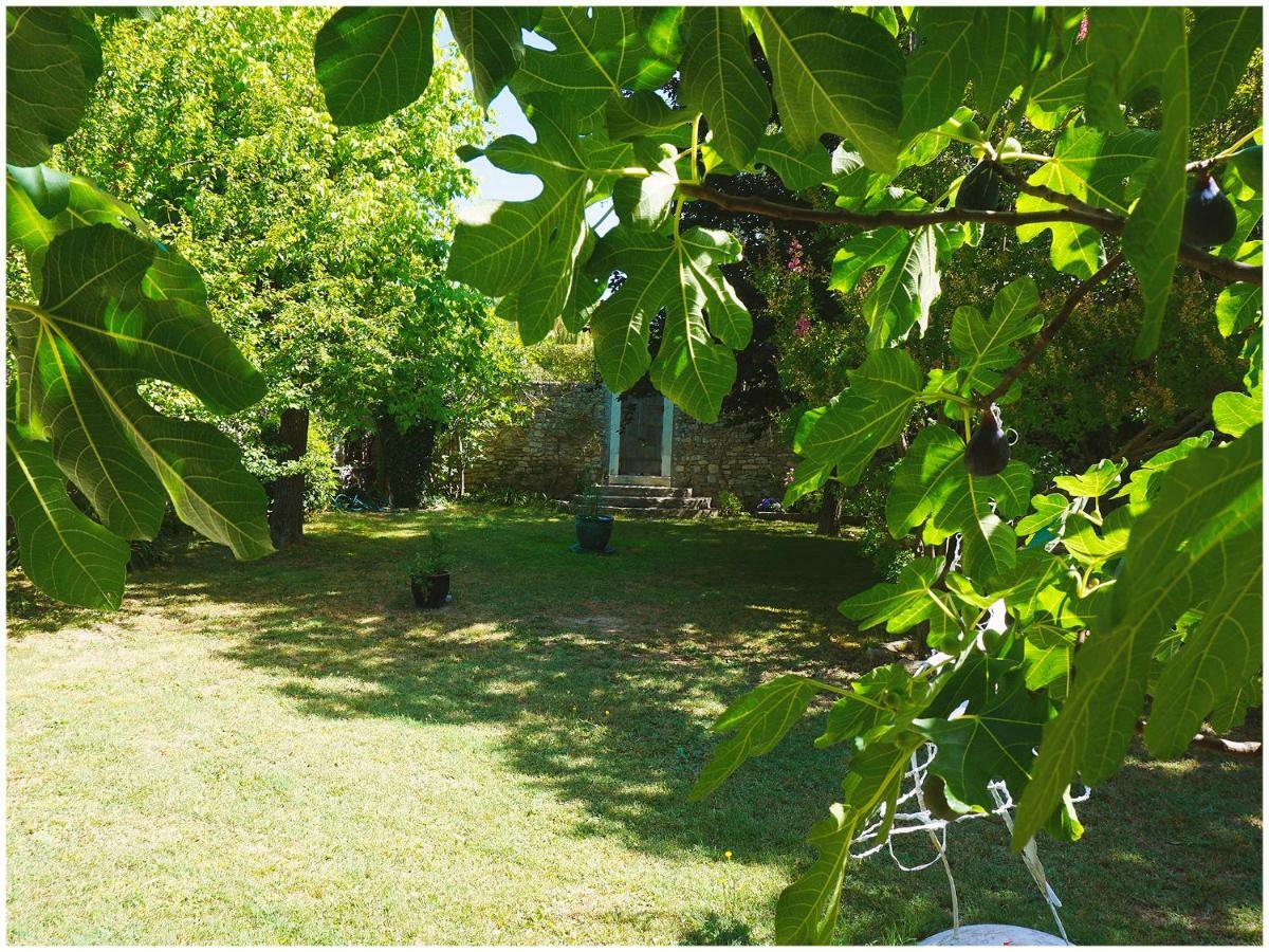 Chambre D'Hote La Romaine Vaison-la-Romaine Dış mekan fotoğraf